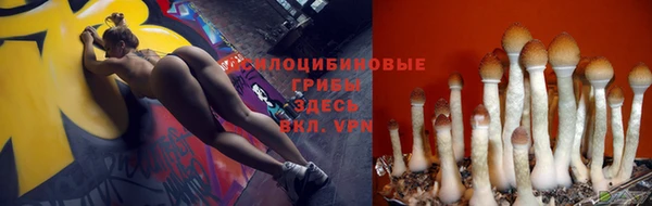 не бодяженный Аркадак